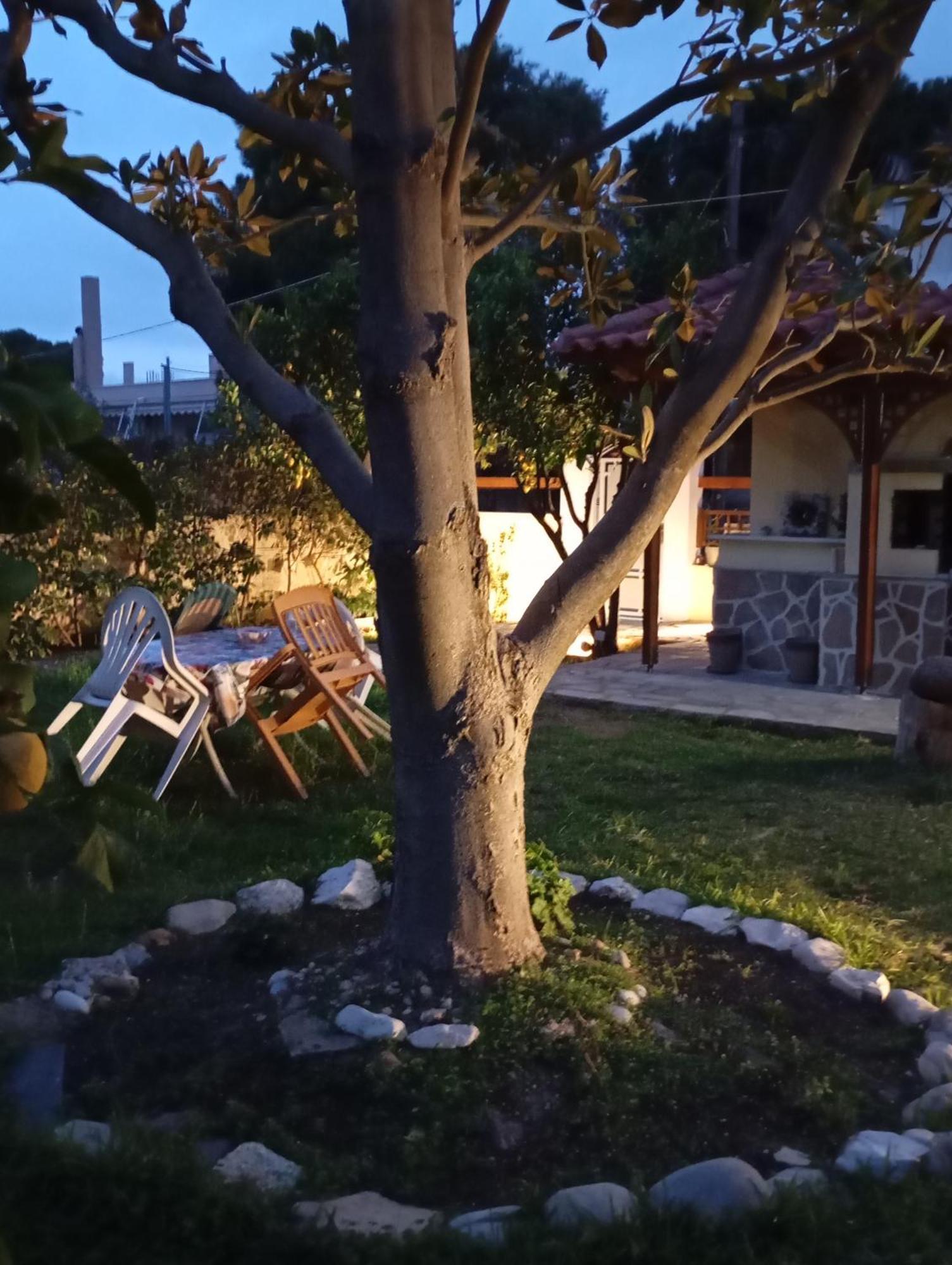 Anna'S Apartment And Studio Artemida  Dış mekan fotoğraf